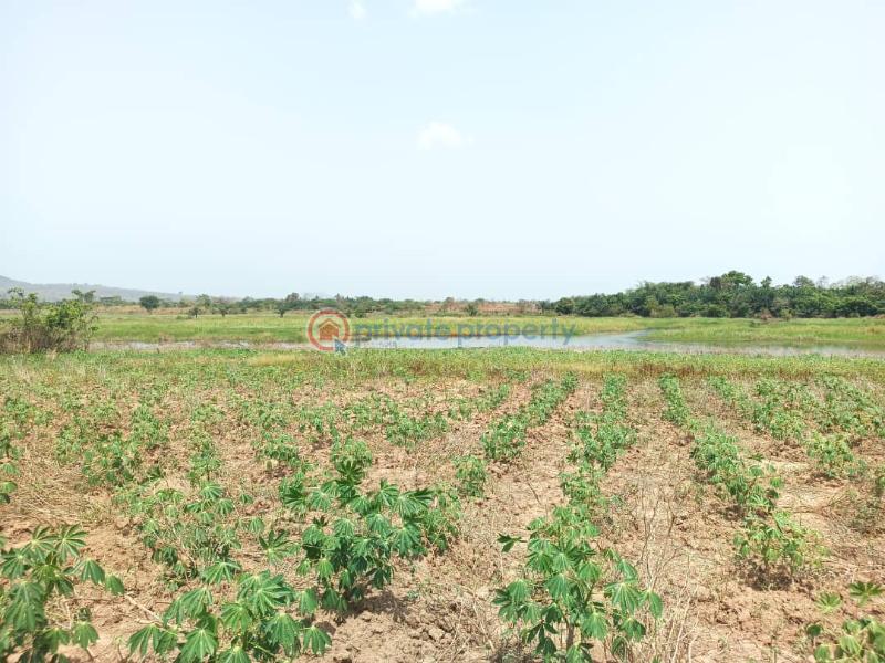 Land For Sale Afadjato South Volta Region - 13