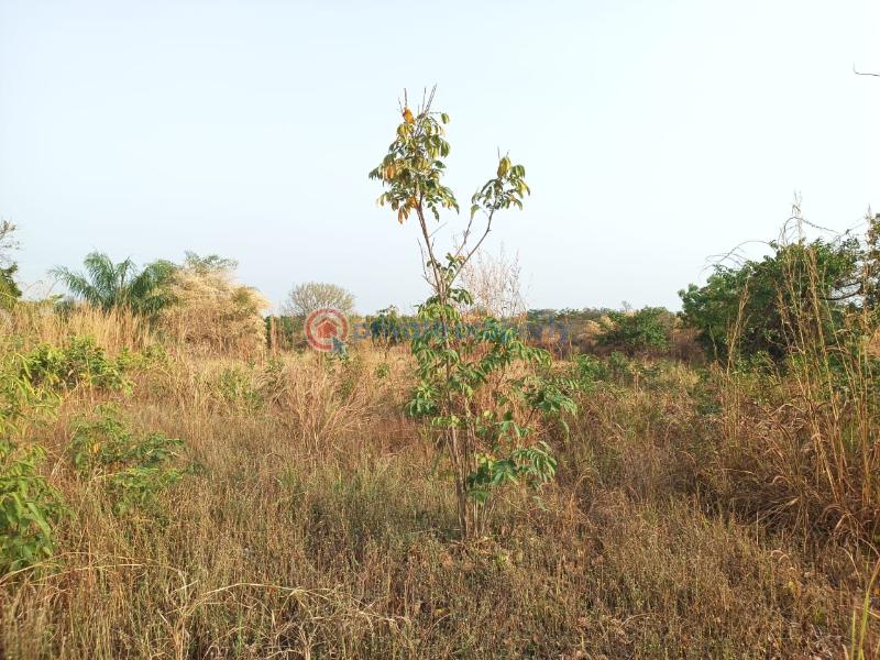 Land For Sale Afadjato South Volta Region - 6