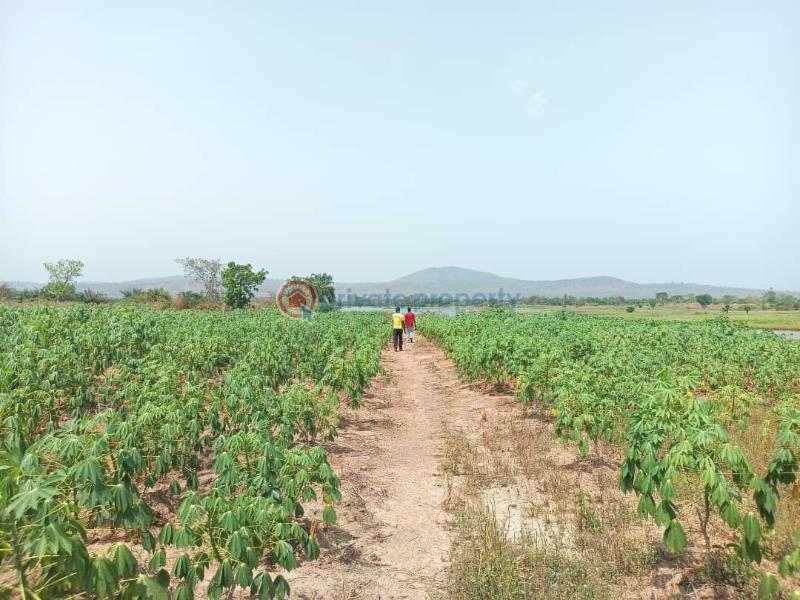 Land For Sale Afadjato South Volta Region - 10