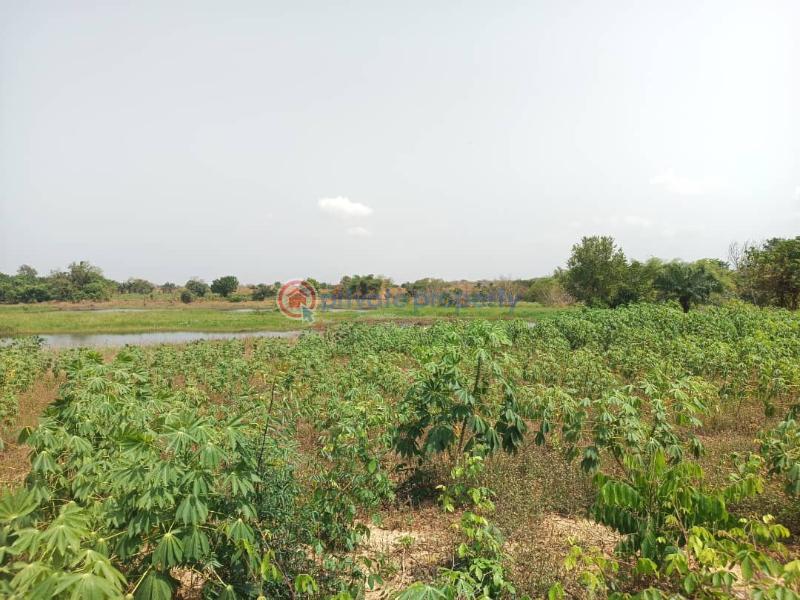 Land For Sale Afadjato South Volta Region - 36