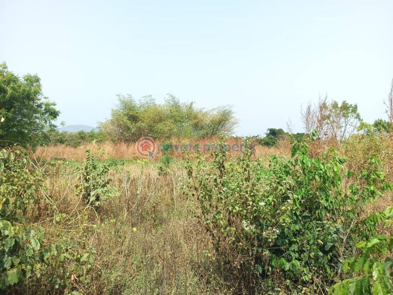 Land For Sale Afadjato South Volta Region - 5