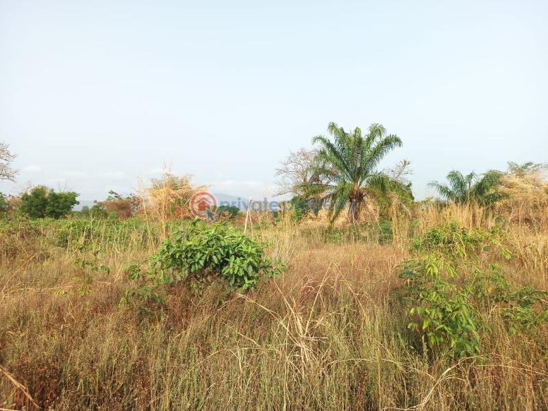 Land For Sale Afadjato South Volta Region - 22