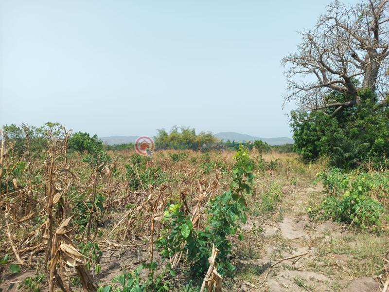 Land For Sale Afadjato South Volta Region - 15