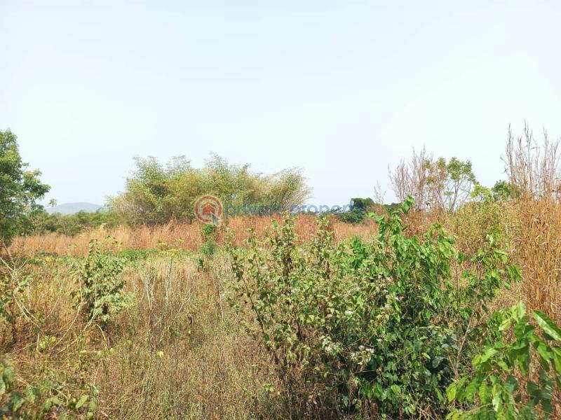 Land For Sale Afadjato South Volta Region - 19