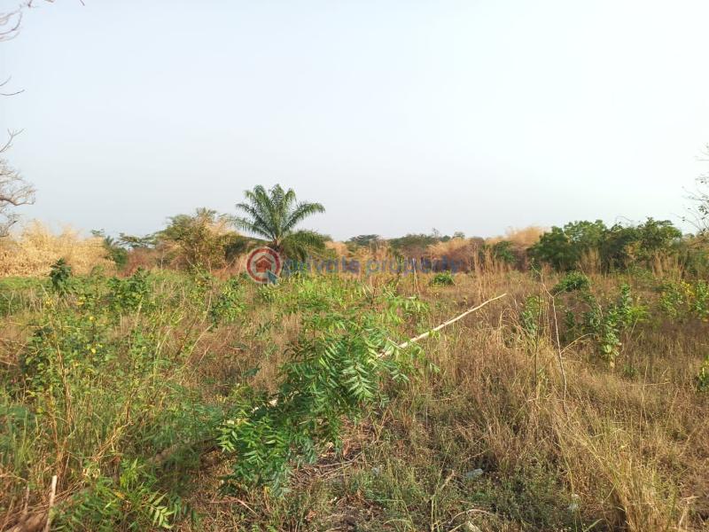 Land For Sale Afadjato South Volta Region - 21