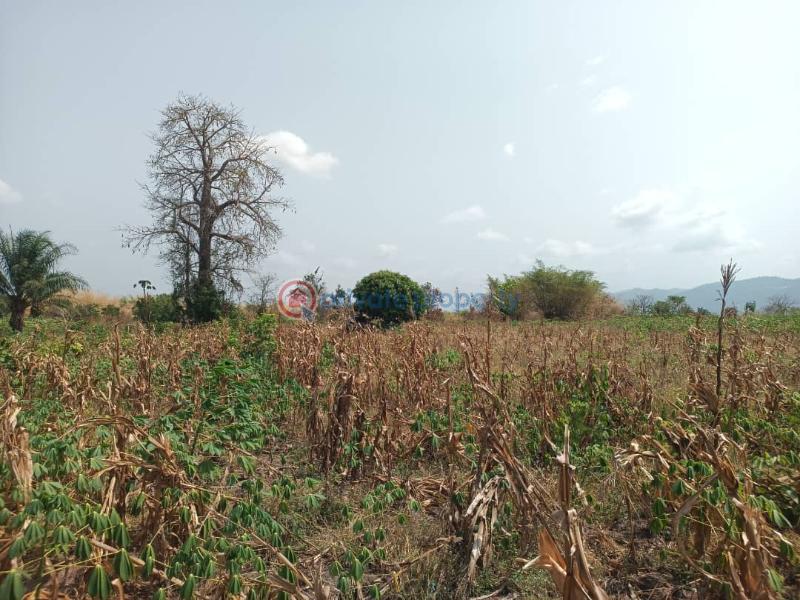 Land For Sale Afadjato South Volta Region - 29