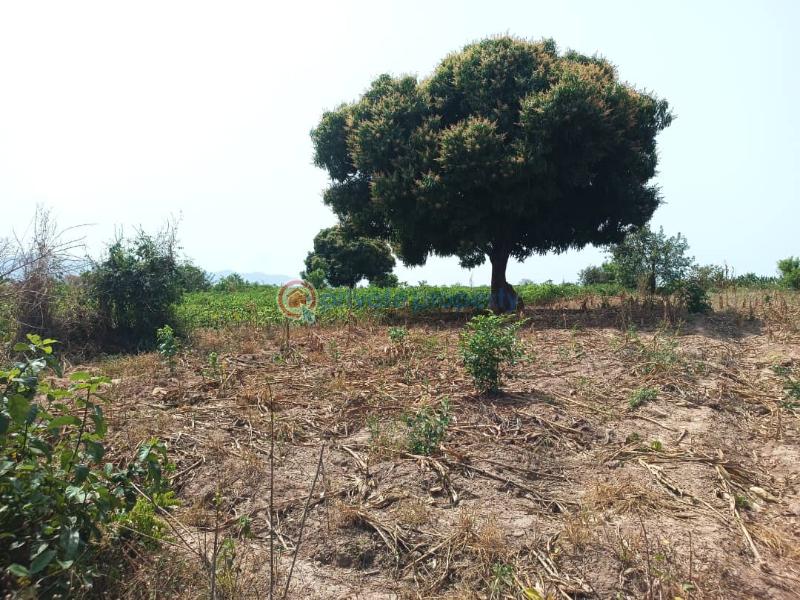 Land For Sale Afadjato South Volta Region - 27