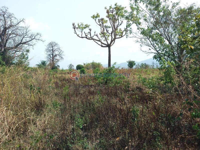 Land For Sale Afadjato South Volta Region - 34
