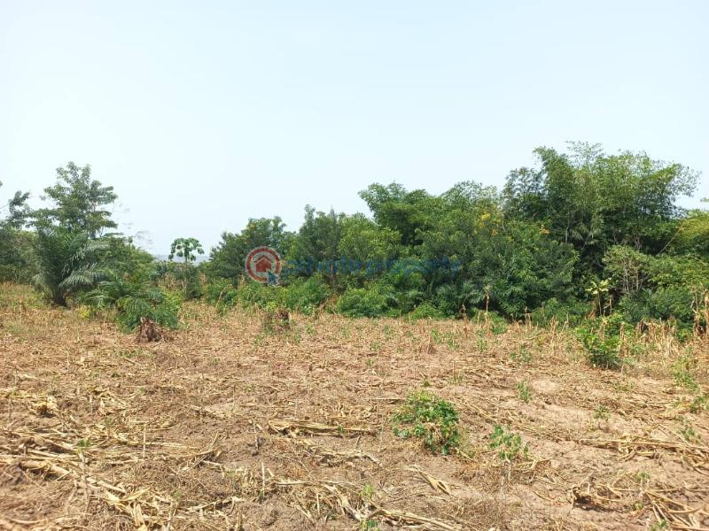 Land For Sale Afadjato South Volta Region - 25
