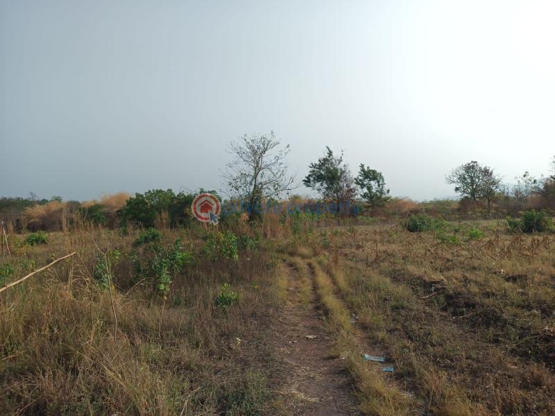 Land For Sale Afadjato South Volta Region - 12
