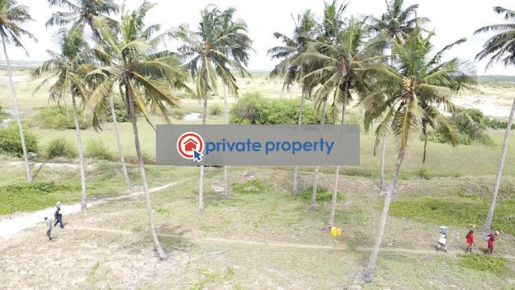 Mixed use Land For Sale &nbsp;gyangyanadzi Effutu Municipal Central Region - 4