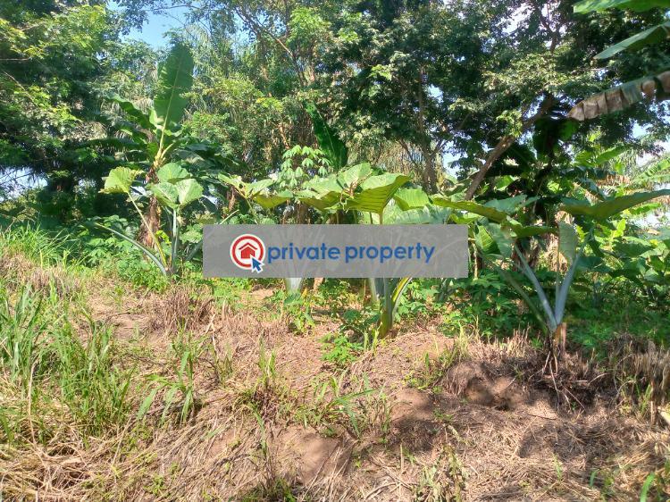 Commercial Land For Sale &nbsp;akuapem Akuapim North Eastern Region - 0