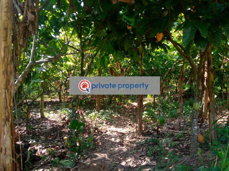 Commercial Land For Sale &nbsp;akuapem Akuapim North Eastern Region - 1