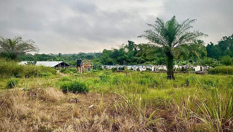 5 bedroom Mixed use Land For Sale After Abijan Nkwanta. Aputuogya. Bosomtwe Ashanti - 1