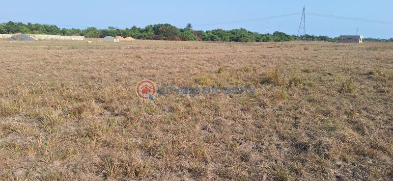 Land For Sale Ningo Senior High School Prampram Ningo Prampram District Accra - 0