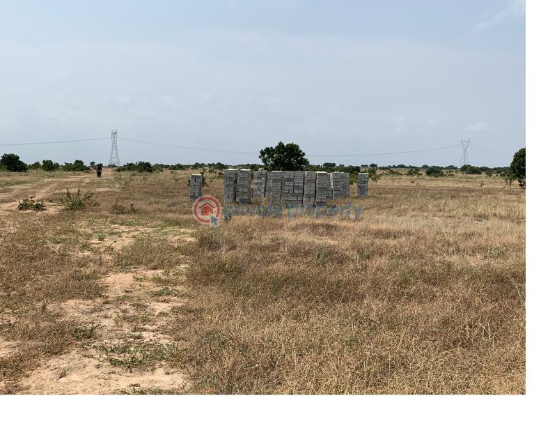 Land For Sale Tsopoli Police Barrier Tsopoli Ningo Prampram District Accra - 2
