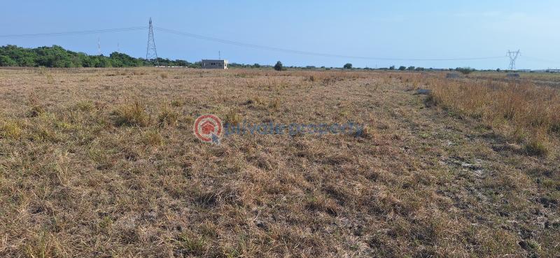 Land For Sale Saglemi Road Tsopoli Ningo Prampram District Accra - 0