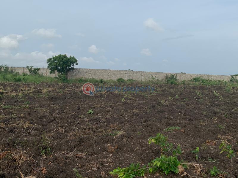 Land For Sale Tsopoli Ningo Prampram District Accra - 4