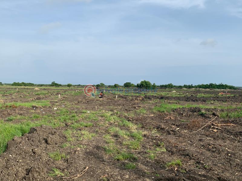 Land For Sale Tsopoli Ningo Prampram District Accra - 3
