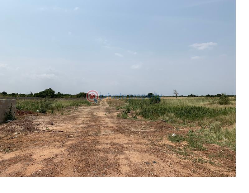 Land For Sale Tsopoli Police Barrier Tsopoli Ningo Prampram District Accra - 2