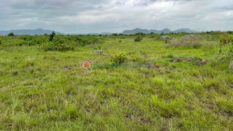 Residential Land For Sale Shai Hills Dedenya Shai Hills Shai Osudoku Accra - 8