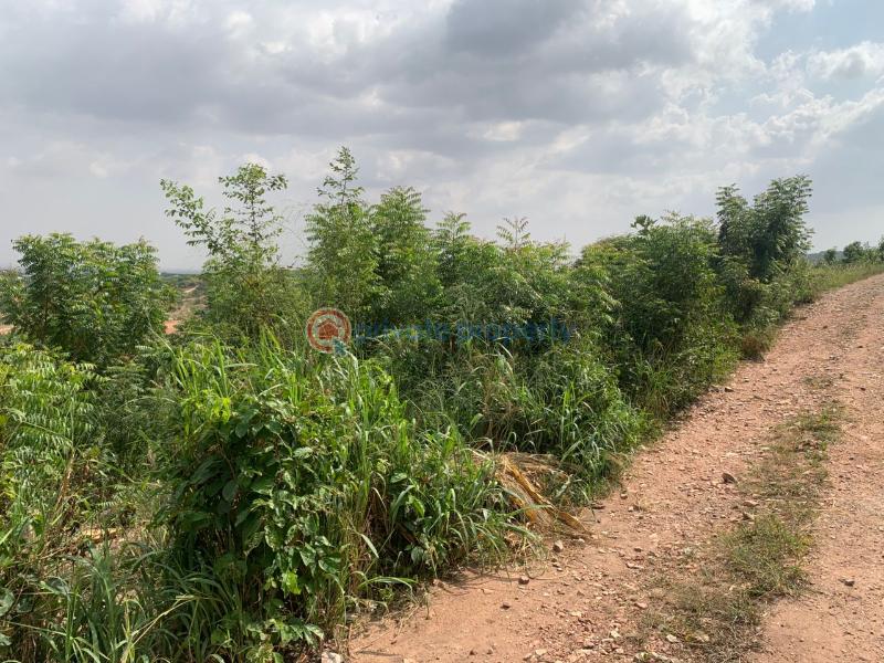 Residential Land For Sale Palm Wine Junction Kpone Katamanso Accra - 3