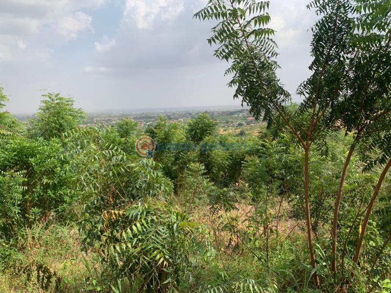 Residential Land For Sale Palm Wine Junction Kpone Katamanso Accra - 4