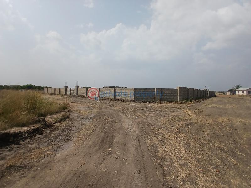 Land For Sale Tema Accra - 1