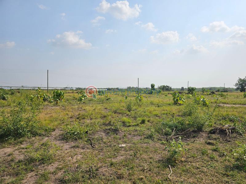 Land For Sale Tema Accra - 4