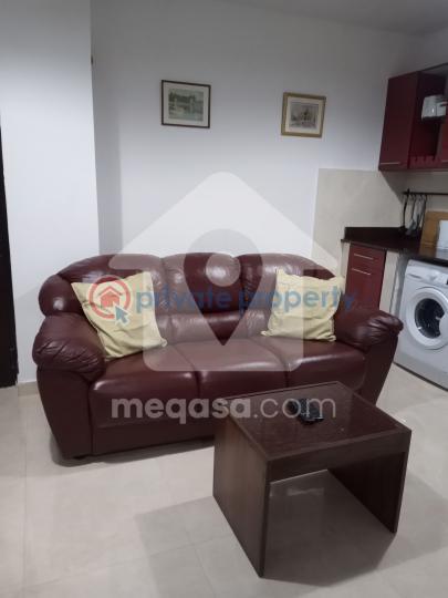 1 bedroom Apartment Short let Guava Link Road Comm 18 Spintex Accra - 6