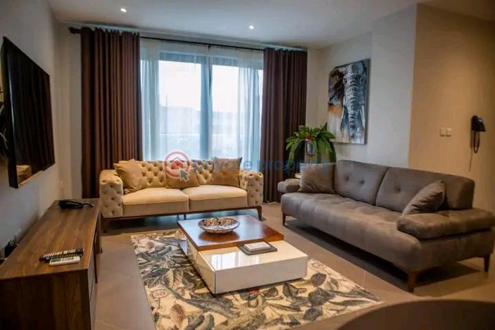 1 bedroom Apartment For Rent Adjiringanor East Legon Accra - 4
