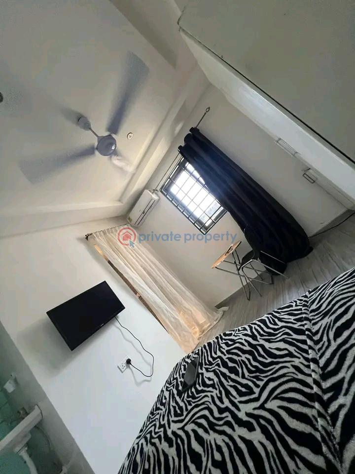 1 bedroom Apartment For Rent Dzorwulu Accra - 2