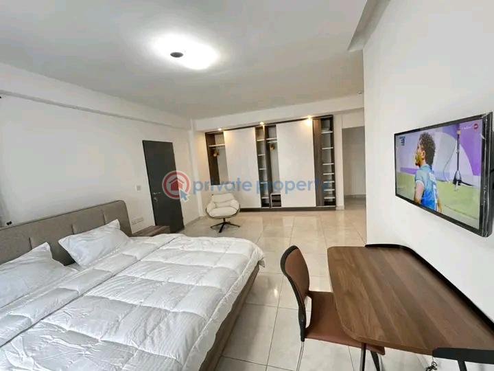 2 bedroom Apartment Short let Roman Ridge Accra - 5