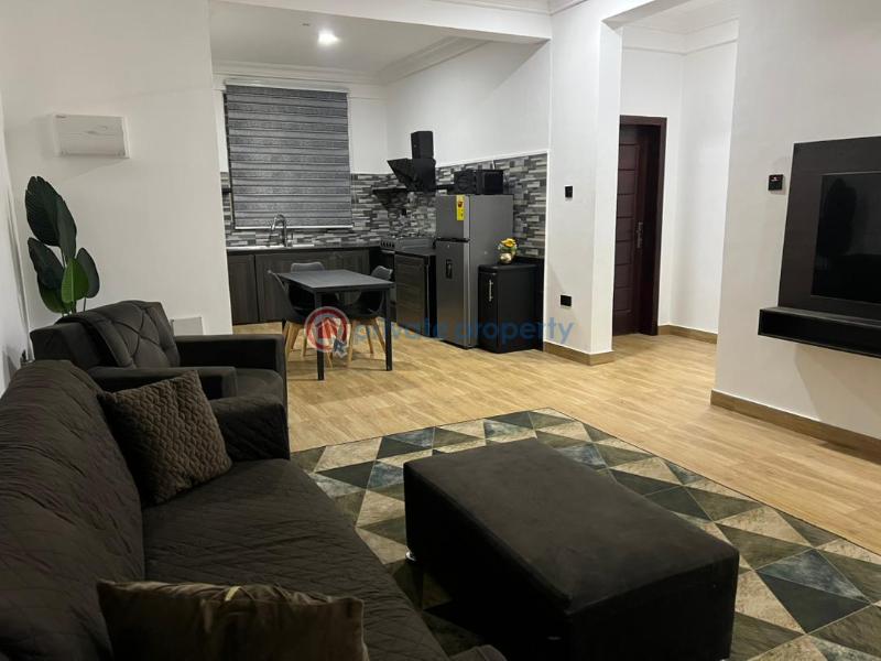 2 bedroom Apartment Short let North Legon Accra - 4