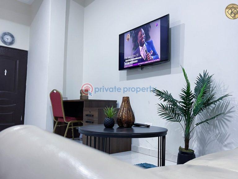 1 bedroom Apartment Short let East Legon Accra - 5
