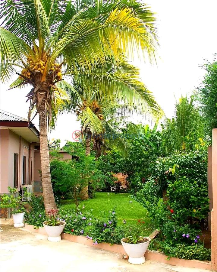 1 bedroom Apartment Short let Tesano Accra - 1