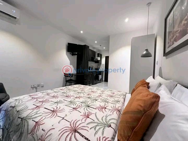 1 bedroom Apartment For Rent Capitol Restuarant Area Cantonments Accra - 5