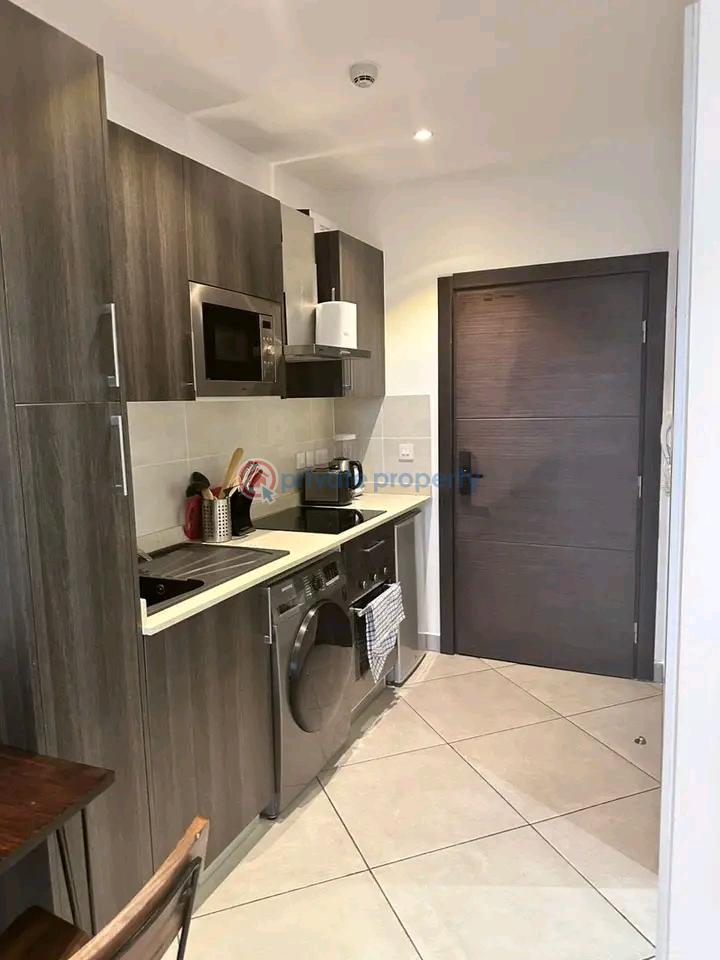 1 bedroom Apartment For Rent Capitol Restuarant Area Cantonments Accra - 8