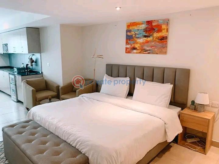 1 bedroom Apartment Short let Airport Residential Area Accra - 7