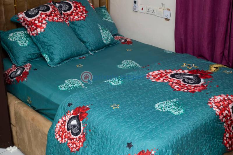 2 bedroom Apartment Short let Sowutuom Ga Central Municipal Accra - 3