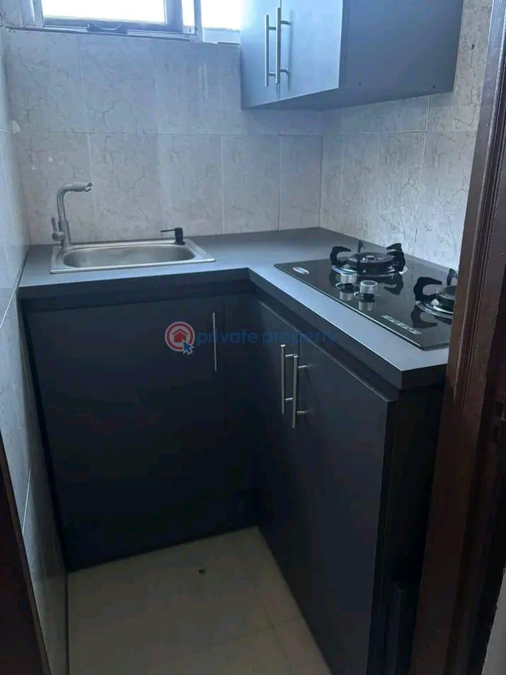 1 bedroom Apartment For Rent Dzorwulu Accra - 2