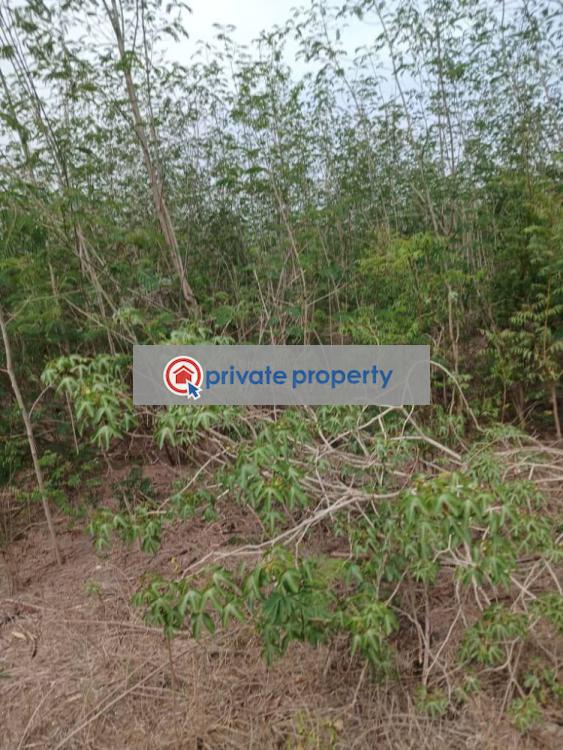 Land For Sale &nbsp;borteyman Opposite Commonwealth Studium Ashaley Botwe Adenta Municipal Accra - 2