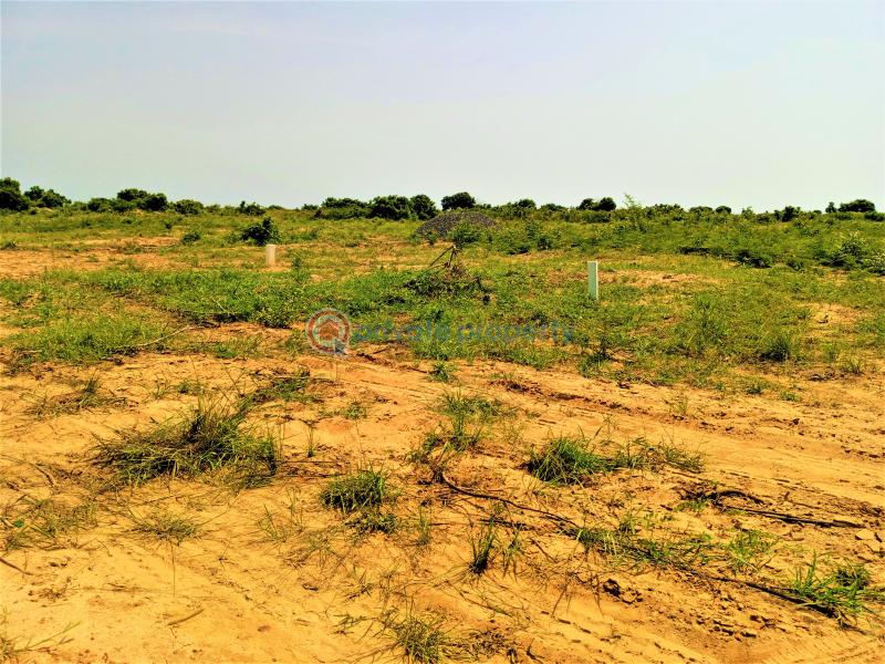 Land For Sale Tema Accra - 3