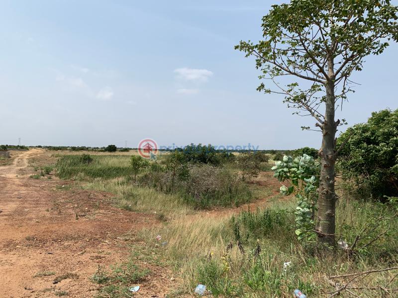 Land For Sale Tsopoli Junction New Site Tsopoli Ningo Prampram District Accra - 0