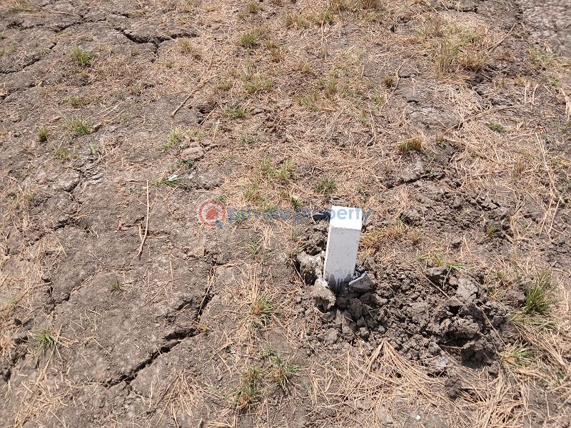Land For Sale Few Mins Drive From Ahotor Junction On The Main Prampram Road. Prampram Ningo Prampram District Accra - 2