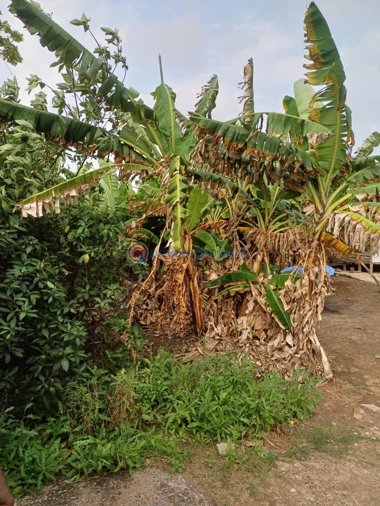 Land For Sale Near St. Johns Abc Achimota Accra - 1