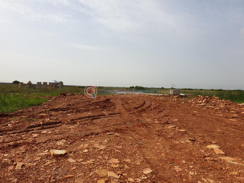 Land For Sale Tema Accra - 0