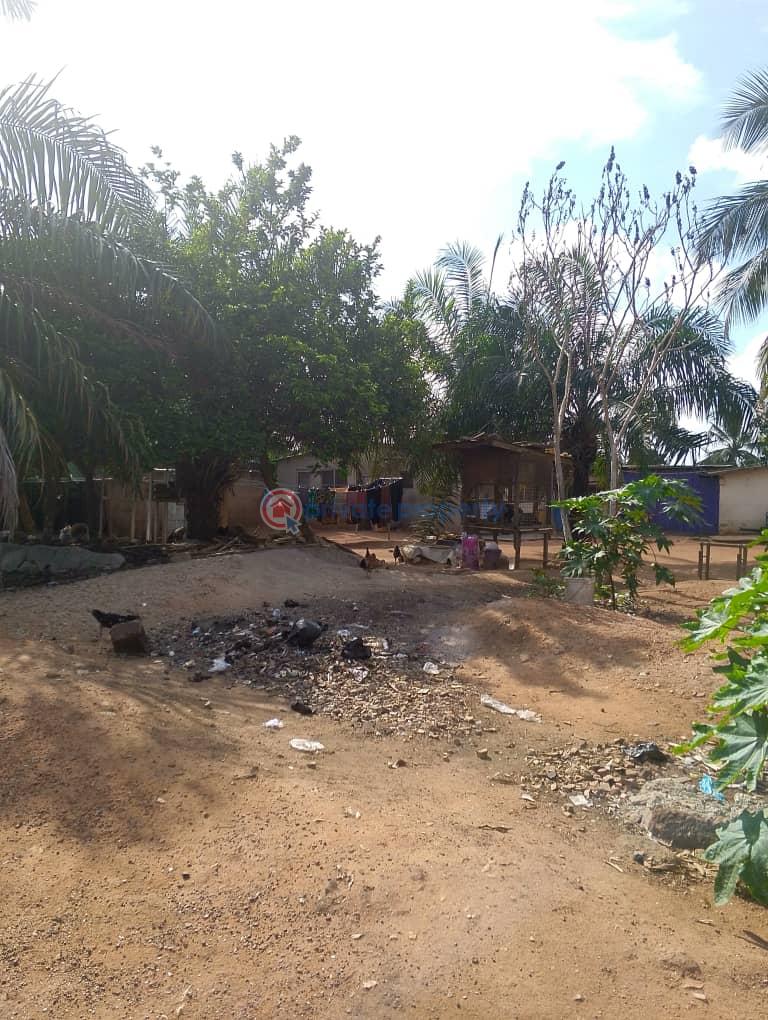 Land For Sale Lapaz Israel Lapaz Accra - 3