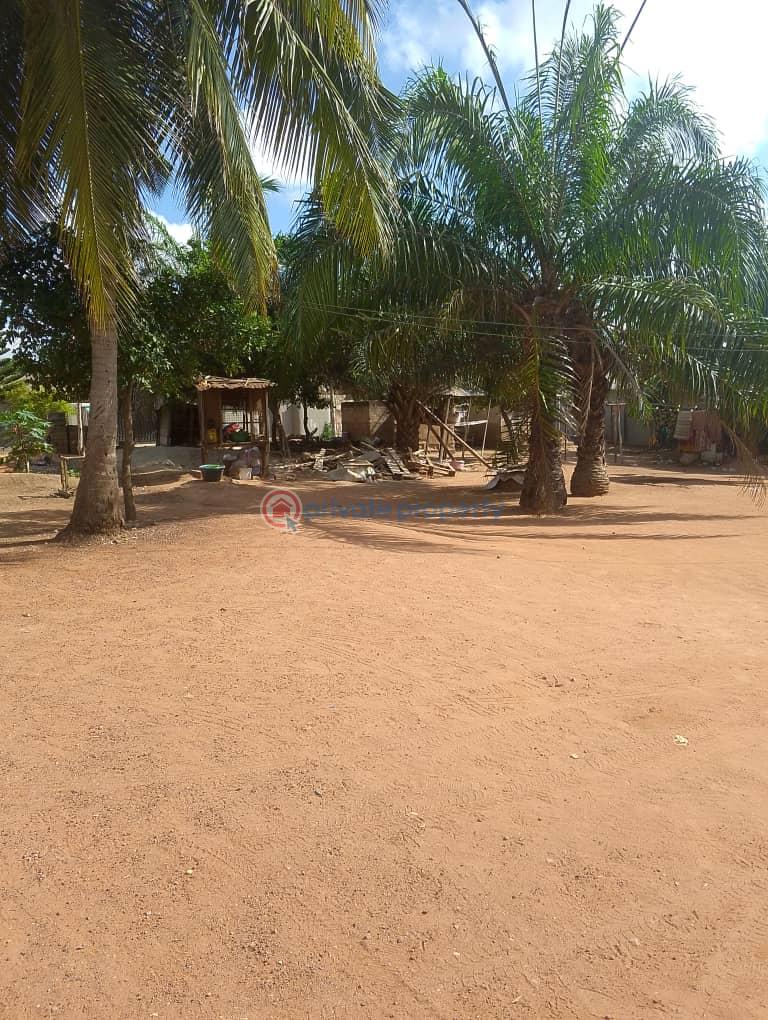 Land For Sale Lapaz Israel Lapaz Accra - 1