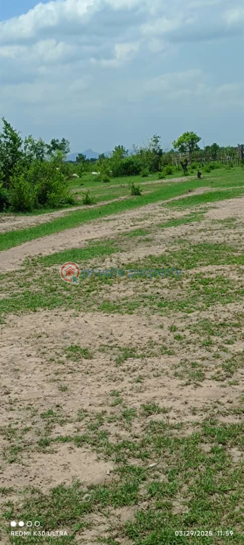 Land For Sale Asutsuare Junction, X3h3+gx3 Shai Hills Shai Osudoku Accra - 3